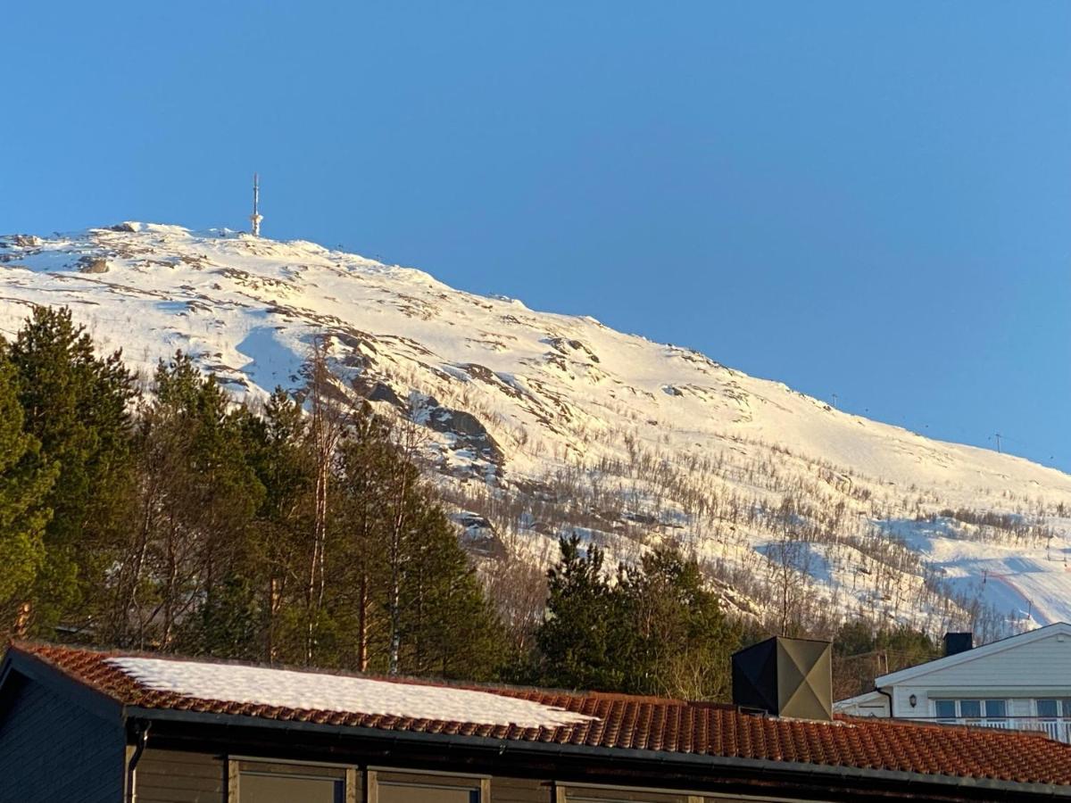 Big Central House, Free Parking, Wifi, 3 Bedrooms Narvik Exteriér fotografie